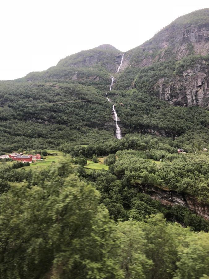 Apartments Bergen Free Parking 外观 照片